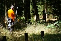 DSC04705