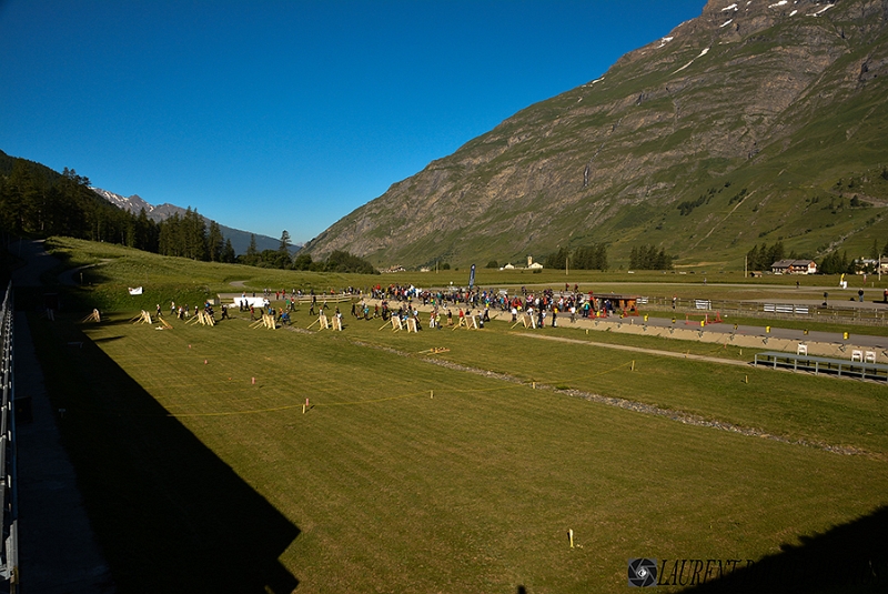 DSC_0004-2.jpg