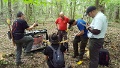 CF NATURE- (51)