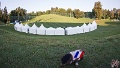 IMG_1256-1