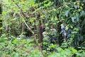 IMG_3921
