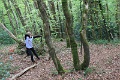 IMG_3979