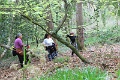 IMG_4021
