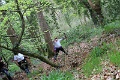 IMG_4022