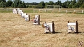 CHAMPIONNAT DE FRANCE 3D - Bonneval - Photos Liliane Cuny - François Delattre