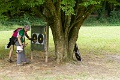 IMG_4537_1